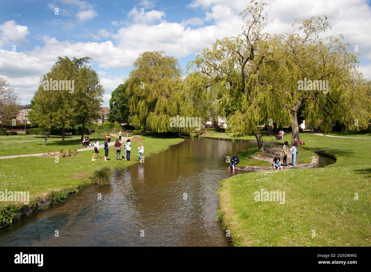 Personnes se baignant dans la rivière Avon, parc Queen Elizabeth, Salisbury, Wiltshire, Angleterre Banque D'Images