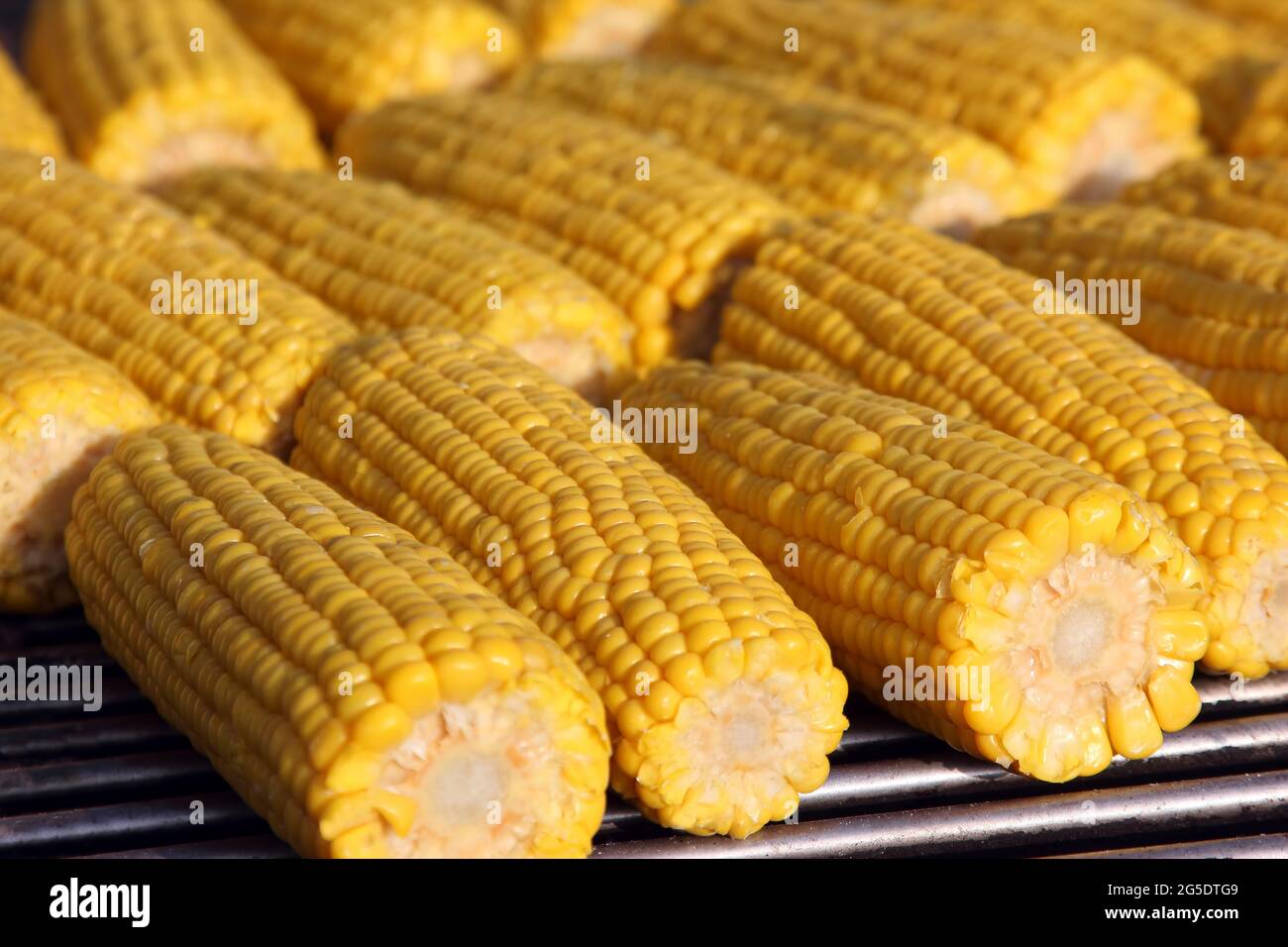 décortiquées de maïs sous la lumière du soleil Banque D'Images