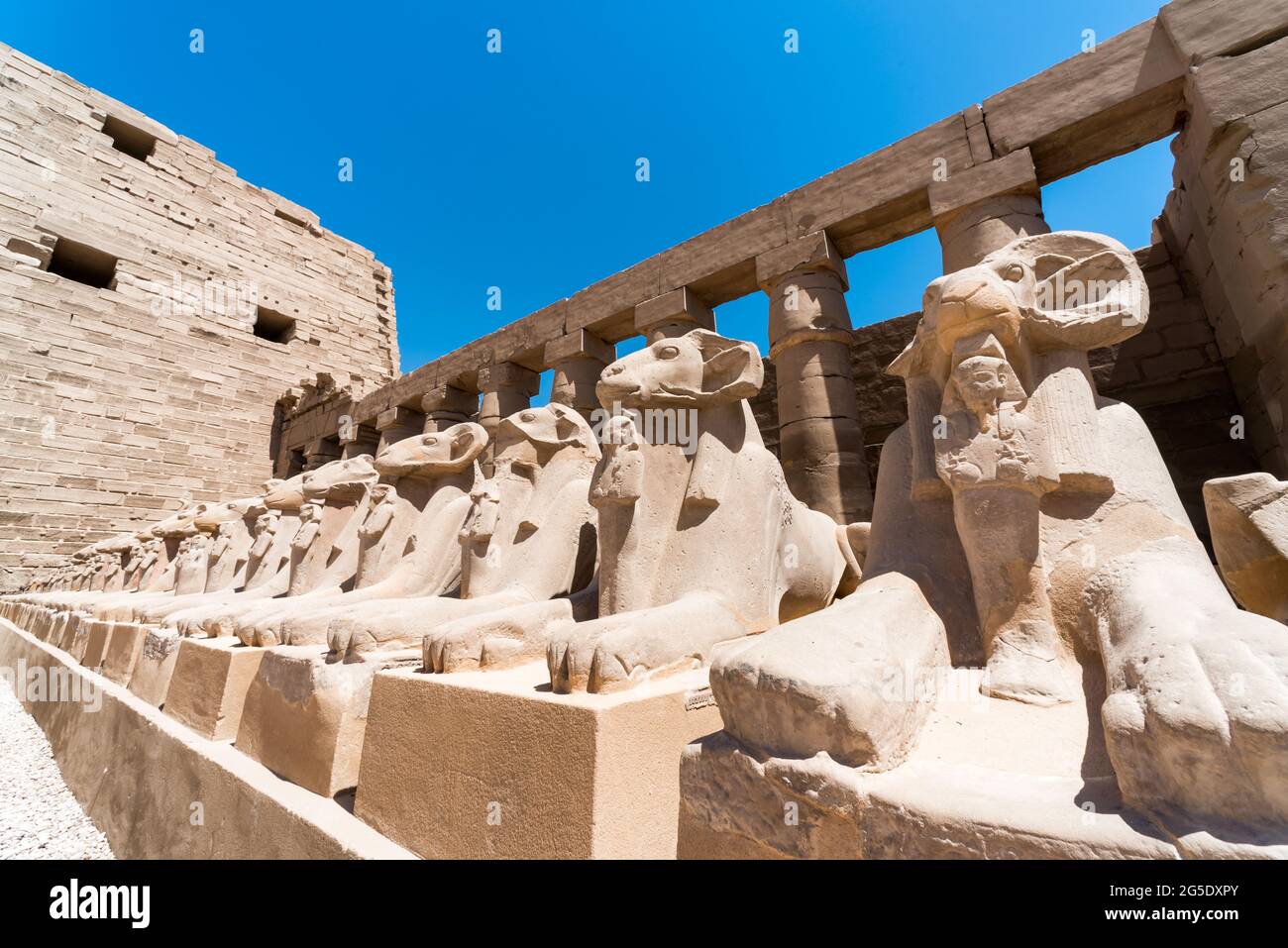 Statues anciennes de nombreux moutons dans le temple de Karnak à Louxor en Égypte Banque D'Images