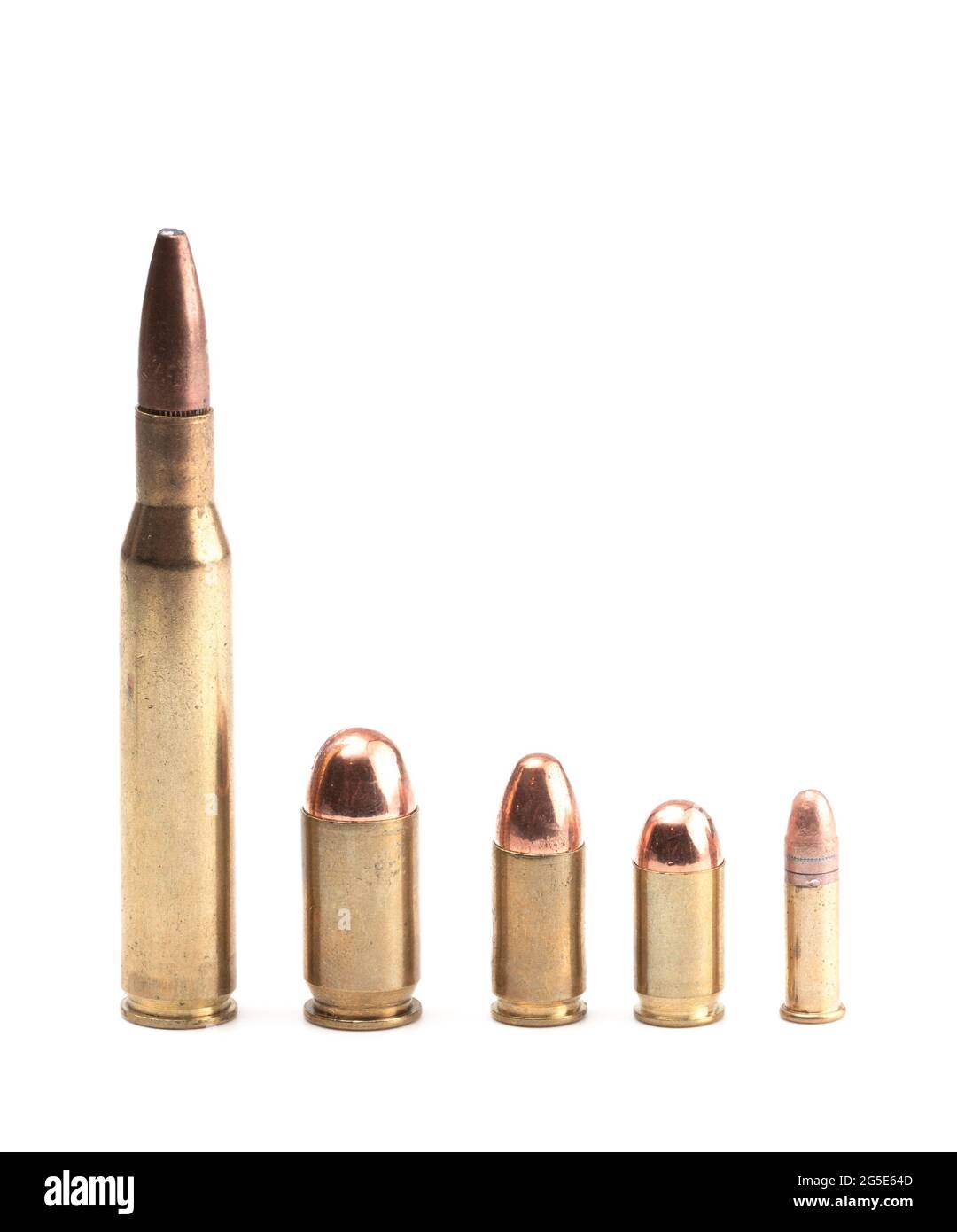 Cinq puces de différentes tailles et formes Banque D'Images