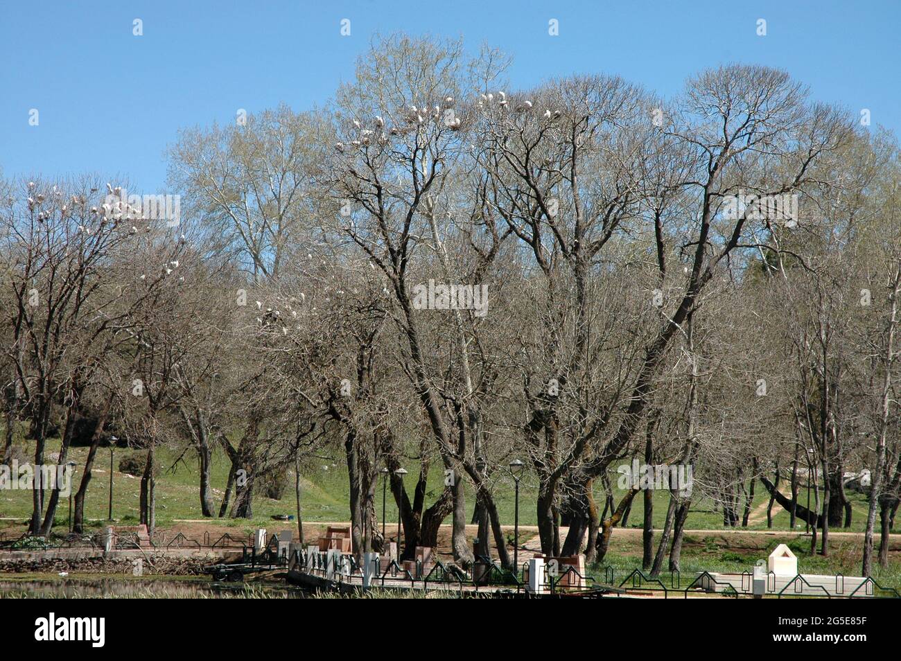 Ville D Ifrane Banque D Image Et Photos Alamy