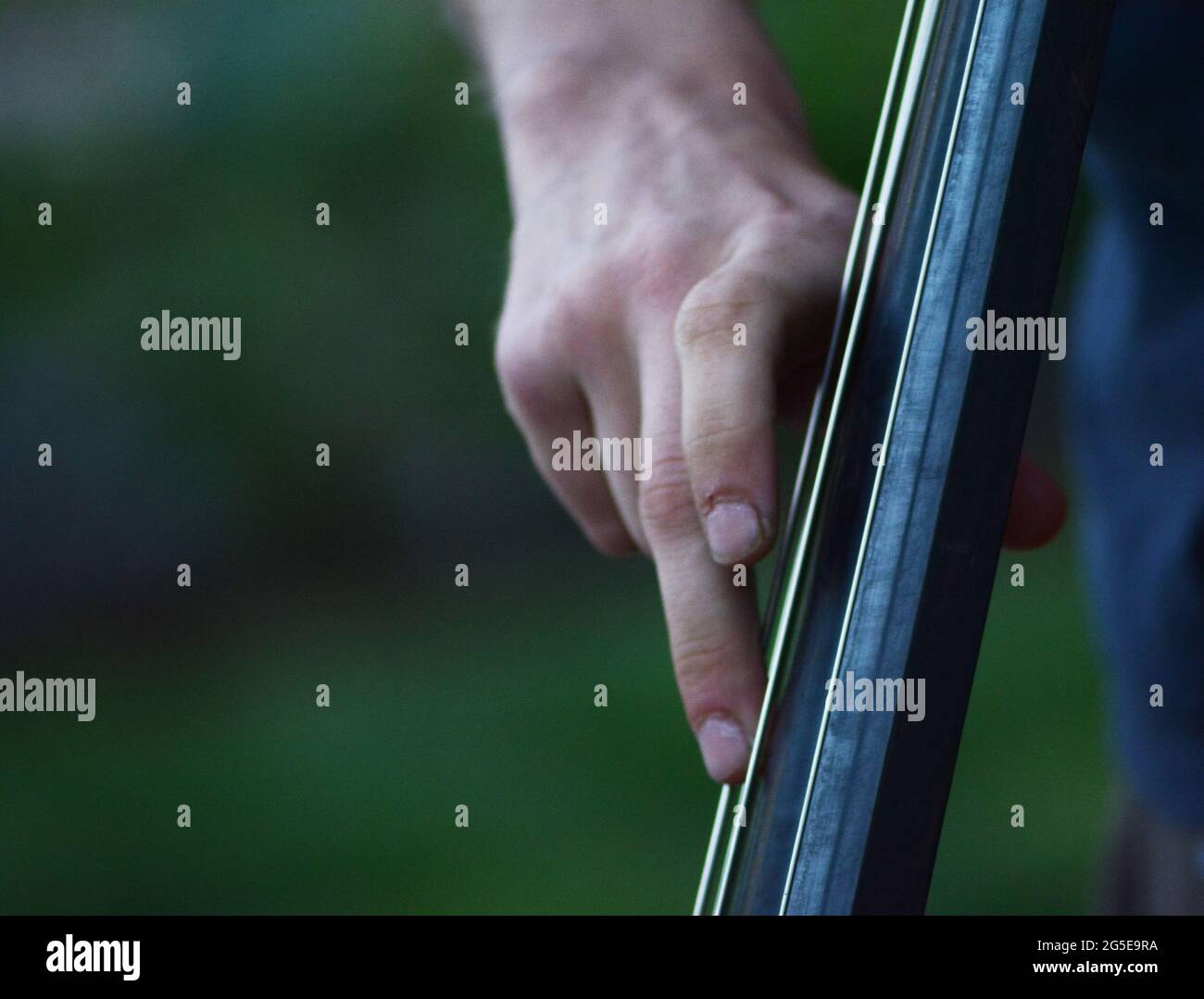 un détail de la double basse avec les doigts de musicien sur les cordes Banque D'Images