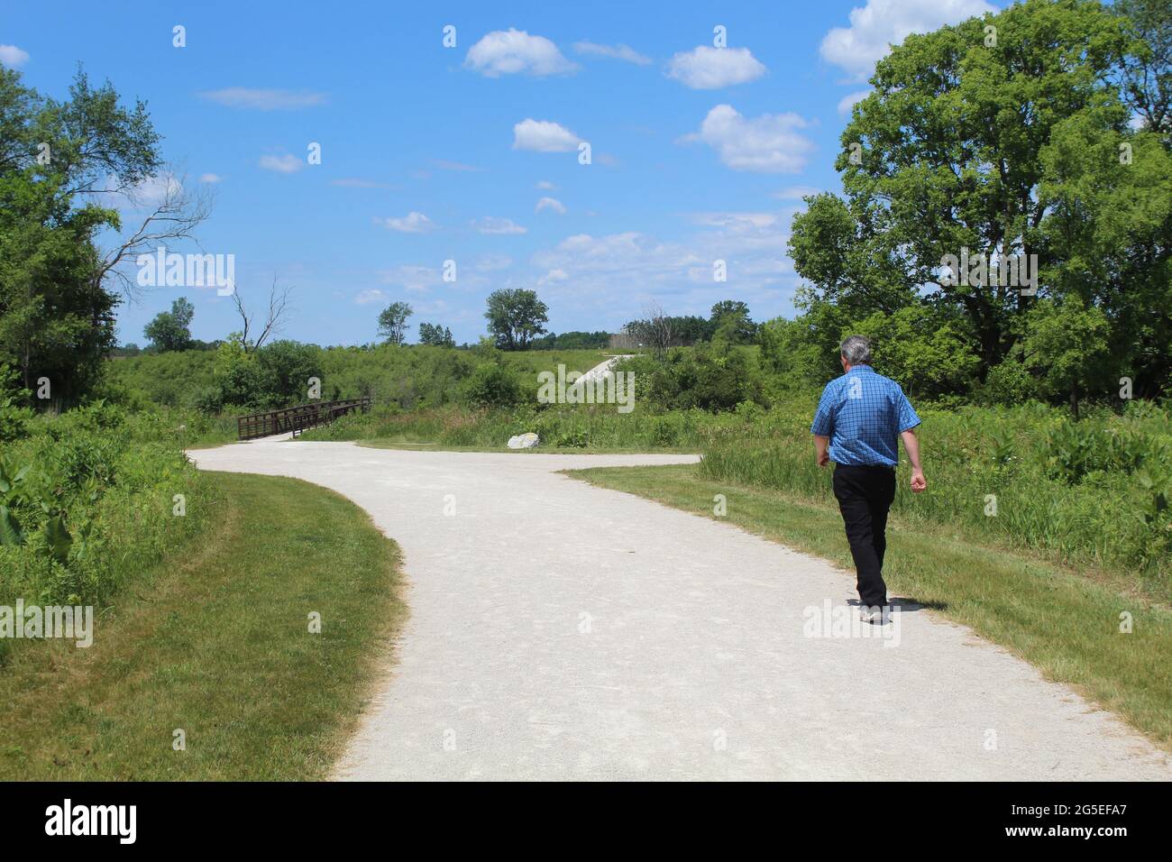 Homme d'âge moyen marchant sur un sentier au parc national James Pate Philip à Bartlett, Illinois Banque D'Images