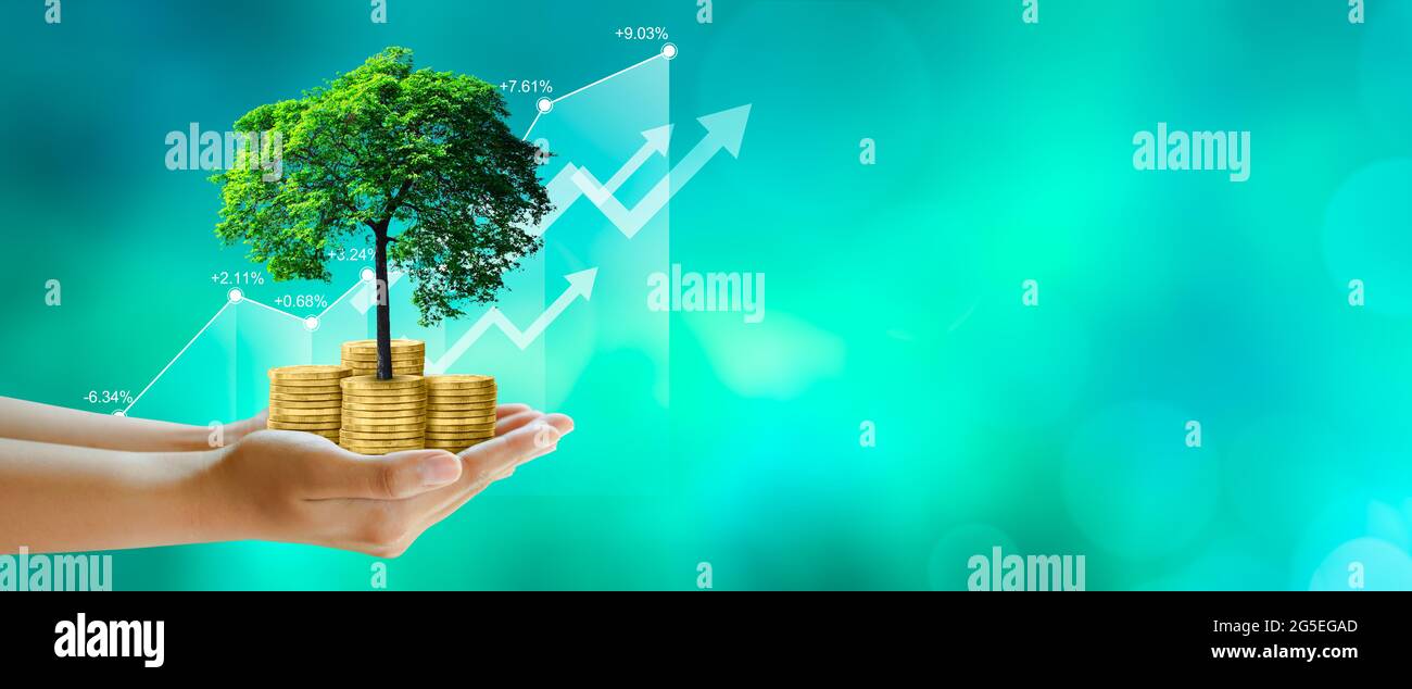 Main tenant l'arbre en croissance sur les pièces de monnaie avec le graphique de stock sur fond vert. Sauver l'écologie, rse entreprise verte, éthique des affaires, bonne gouvernance. Banque D'Images