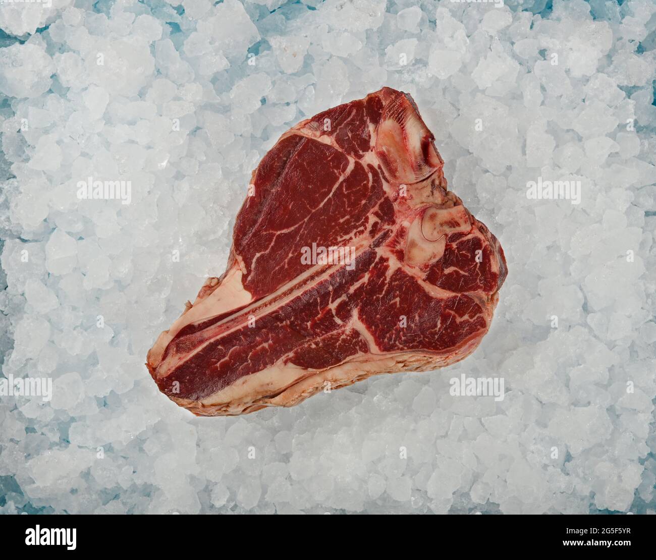 Gros plan sur un steak de bœuf en os de la portreuse vierge de qualité marbrée sur fond de glace pilée, vue en hauteur sur le dessus, juste au-dessus Banque D'Images