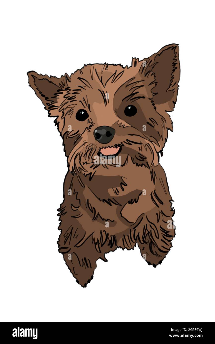 Dessin animé d'un adorable chien terrier du Yorkshire avec sa langue sortie - fond blanc Banque D'Images