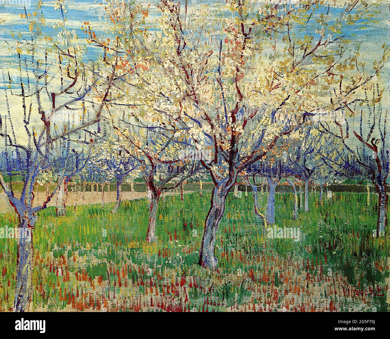 Vincent Van Gogh - Orchard avec des Apricot en fleurs 1888 Banque D'Images