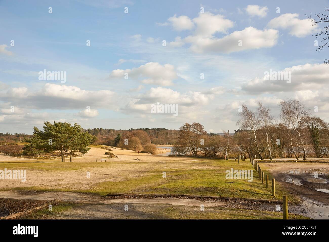 Paysages à Frensham Great Pond, Frensham Common, Waverley, Surrey, Royaume-Uni, avec un lac et une plage de sable, un endroit de beauté local et un espace de loisirs Banque D'Images