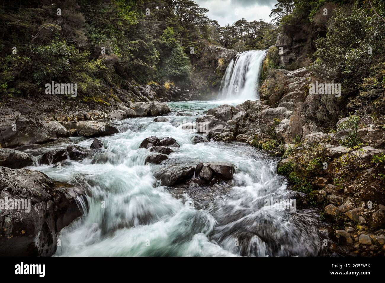 Tawhai Falls dans le parc national de Tongariro, Île du Nord, Nouvelle-Zélande Banque D'Images