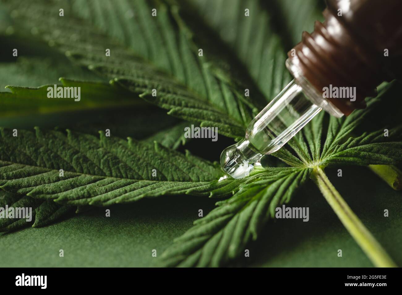 L'extrait de cannabis sur le cannabis laisse un fond vert, gros plan. Banque D'Images