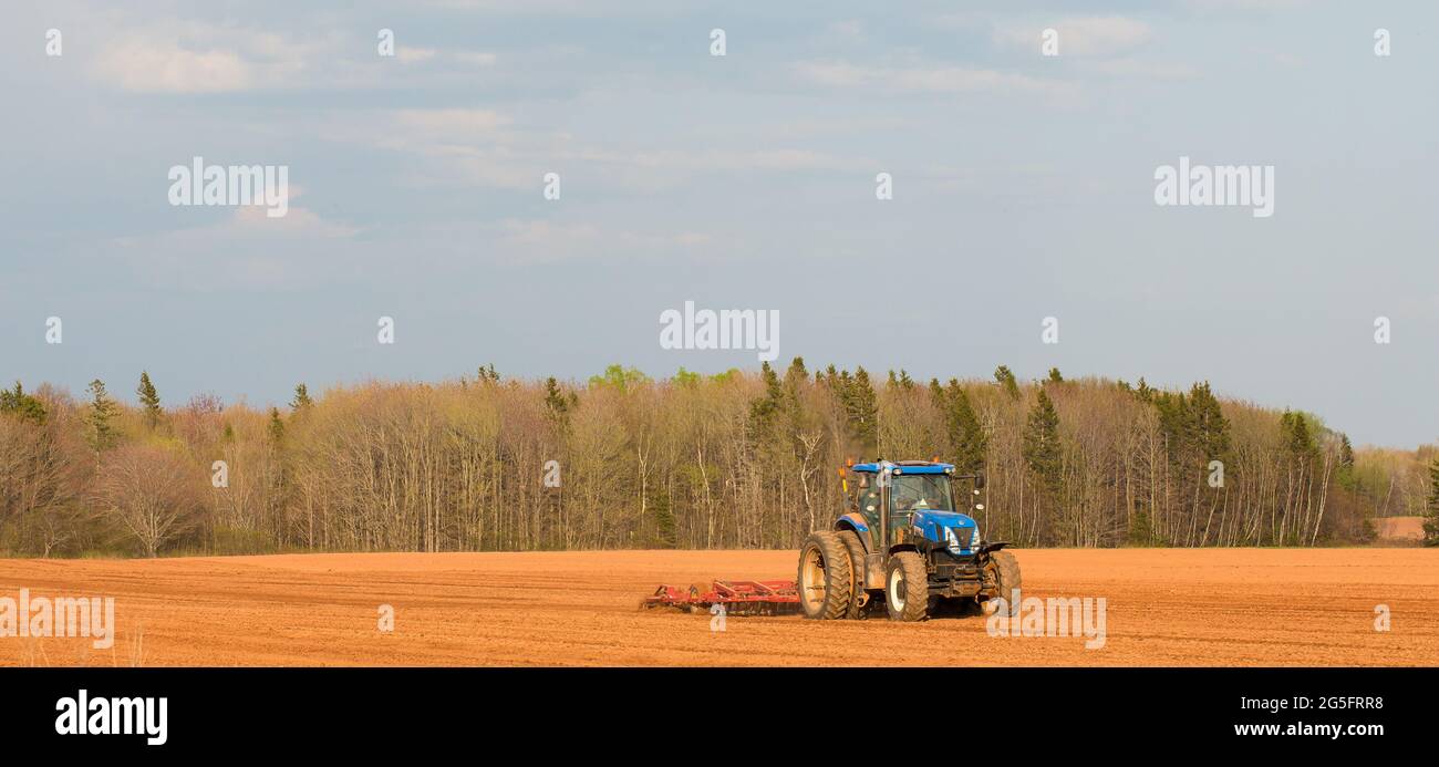 Paysage de l'Île-du-Prince-Édouard. Un tracteur labourant les champs agricoles au début de la saison de printemps au Canada Banque D'Images