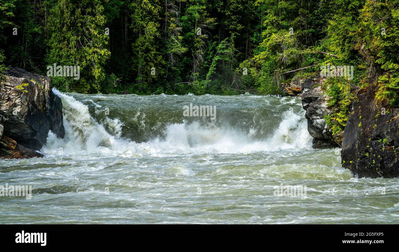 Overlander Falls, sur le fleuve Fraser, dans le parc provincial Mount Robson, dans les Rocheuses canadiennes, en Colombie-Britannique, au Canada Banque D'Images