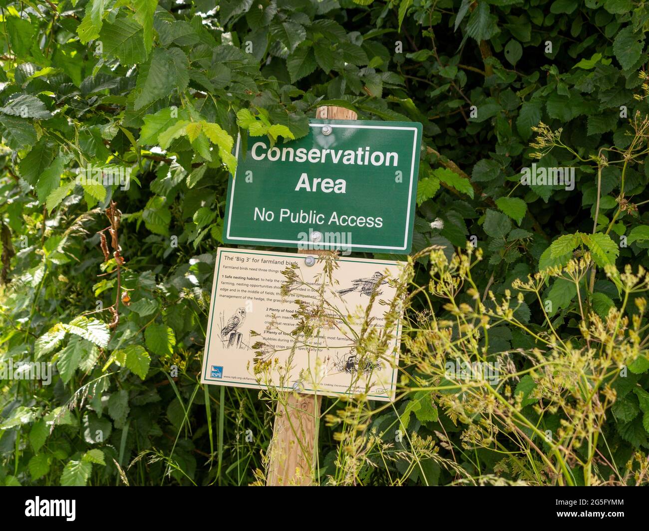 Un panneau vert rectangulaire « zone de conservation » sur un poteau en bois dans une haie par une zone de champ Banque D'Images