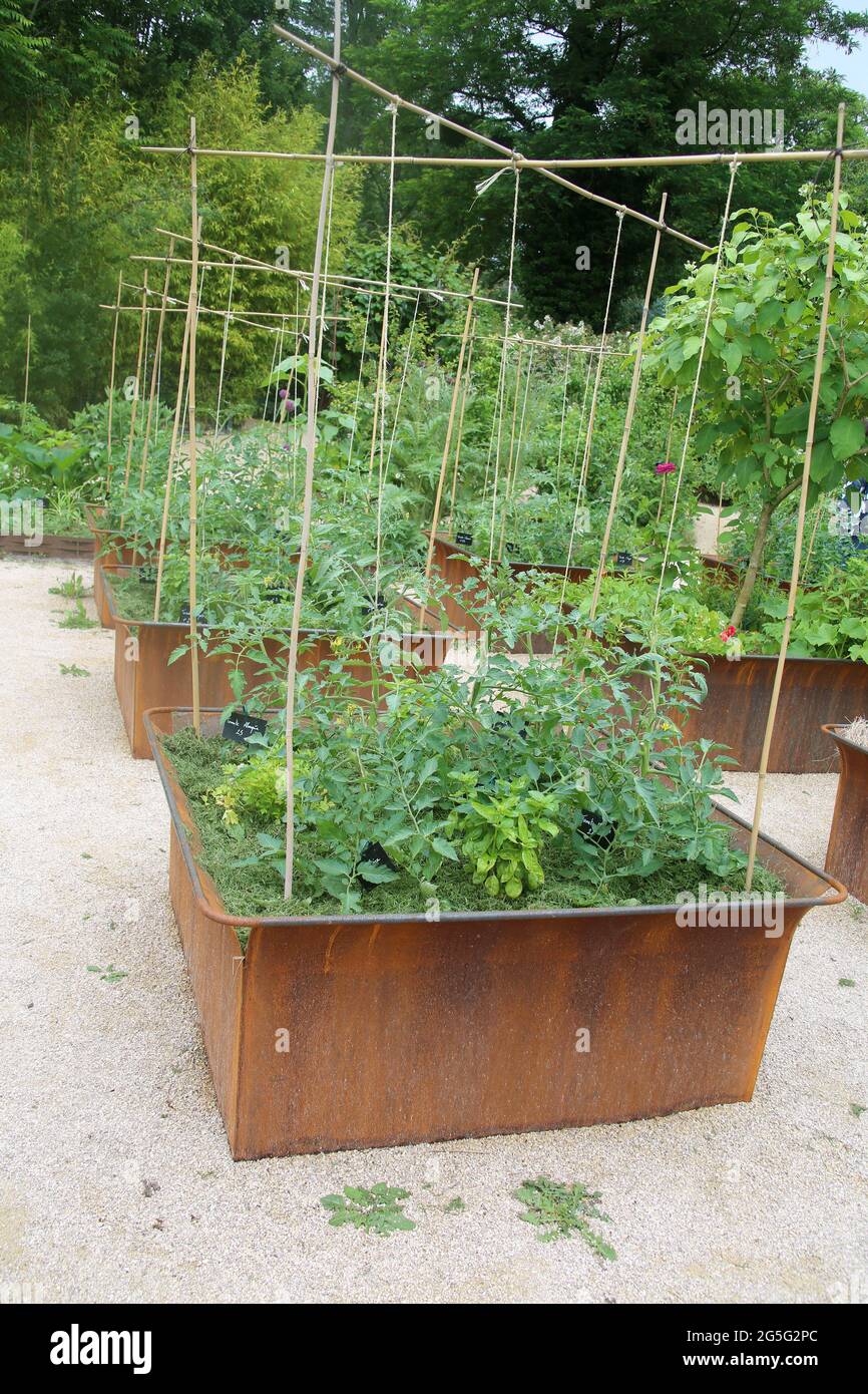 Lits surélevés utilisant de vieux récipients en métal pour les légumes dans les jardins du Château de Chaumont. Pays de la Loire, France. Banque D'Images