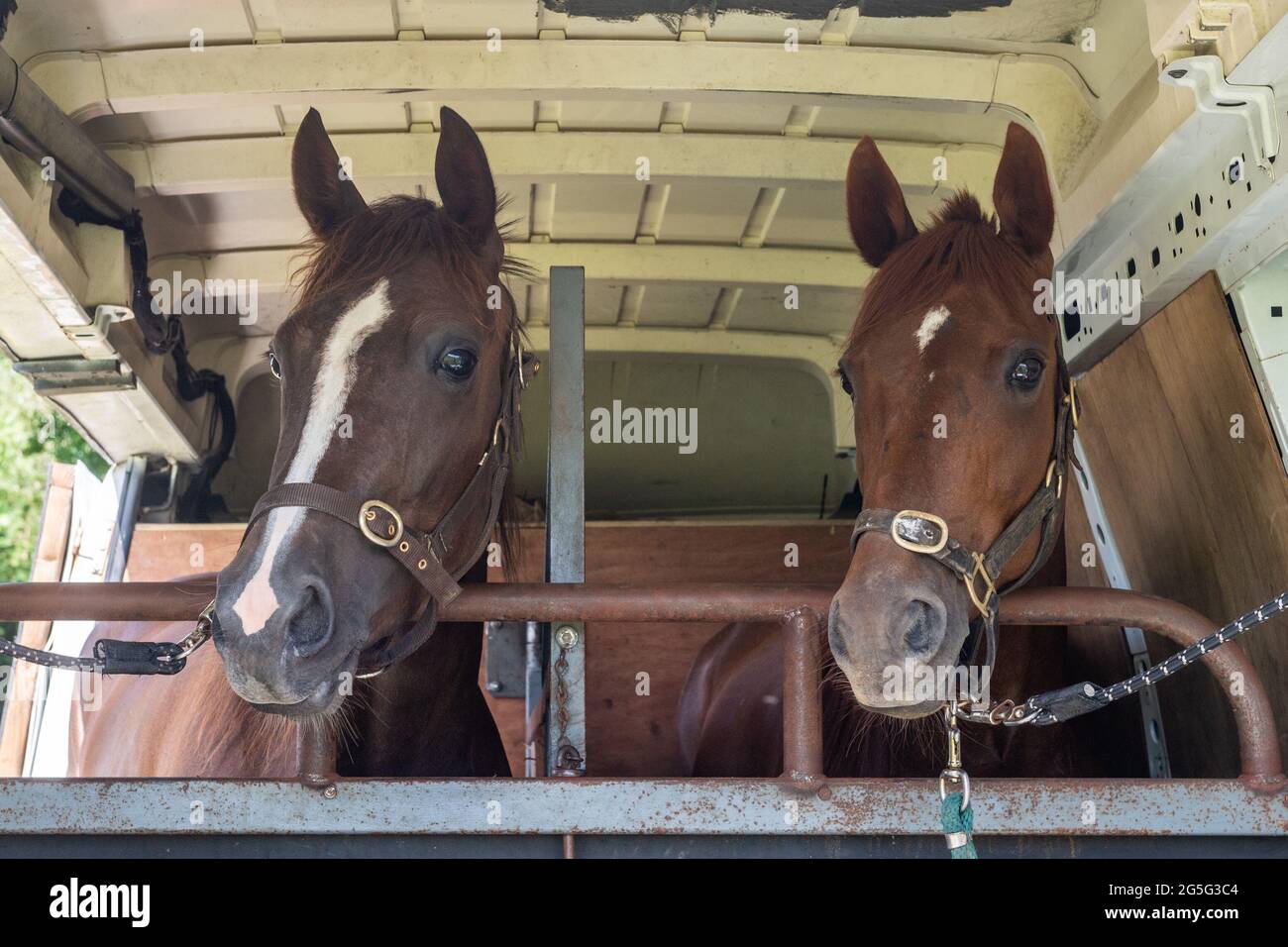 Lissangle, Caheragh, West Cork, Irlande. 27 juin 2021. Il y avait une carte de course de 8 à Lissangle aujourd'hui dans la course suiteuse sur une journée très chaude et ensoleillée. Les chevaux Highland Princess et Dinah Washington attendaient le début de leurs courses. Crédit : AG News/Alay Live News Banque D'Images