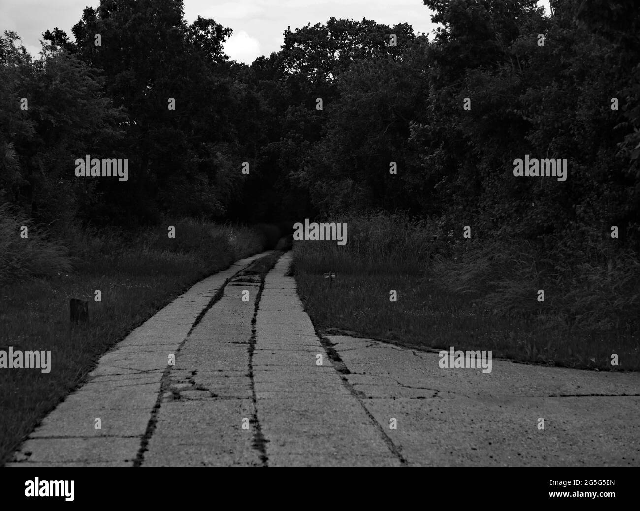 Image en noir et blanc d'une voie en béton. Banque D'Images