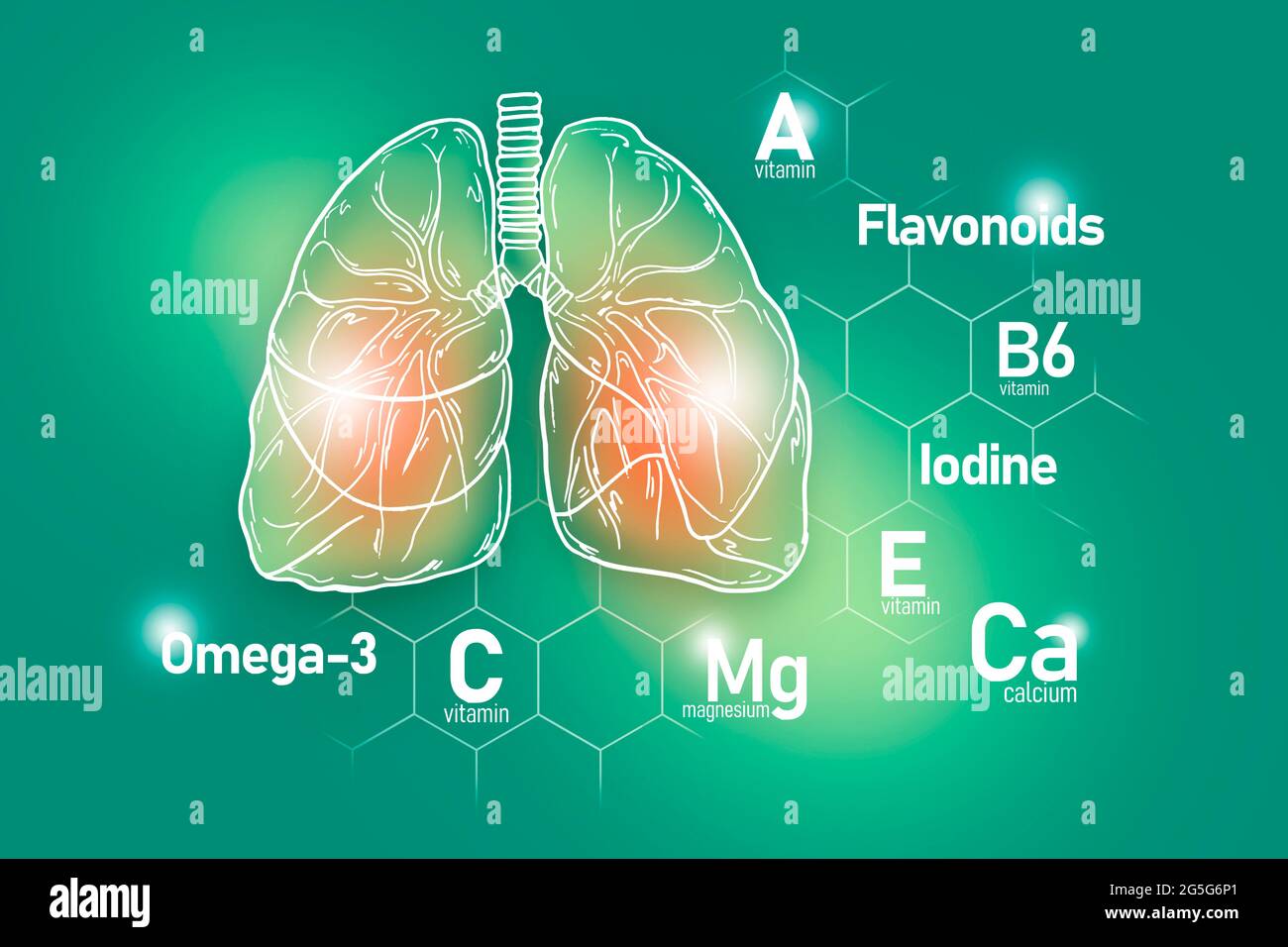 Nutriments essentiels pour la santé des poumons, y compris les oméga-3, les flavonoïdes, le magnésium, l'iode. Ensemble de conception des principaux organes humains avec des vitamines Banque D'Images