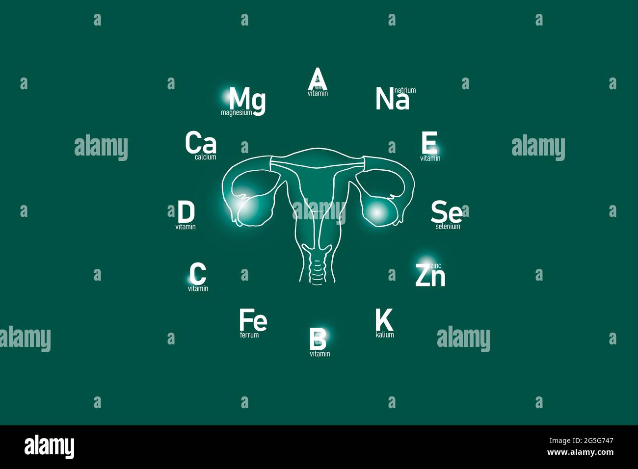 Cadran stylisé avec vitamines et microéléments essentiels pour la santé humaine, utérus dessiné à la main, fond vert profond. Banque D'Images