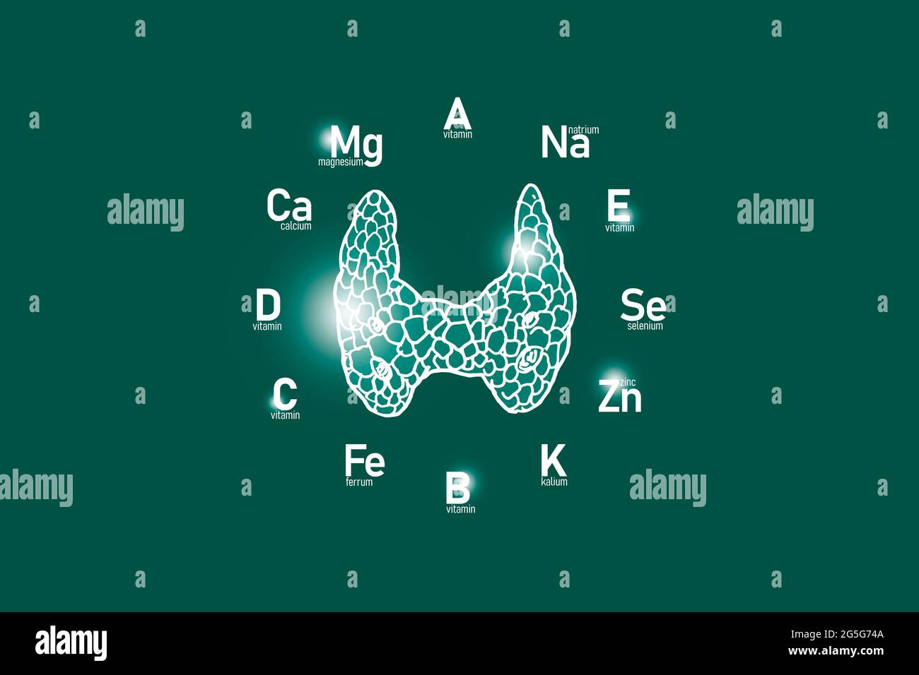 Cadran stylisé avec vitamines et microéléments essentiels pour la santé humaine, glande thyroïde dessinée à la main, fond vert profond. Banque D'Images