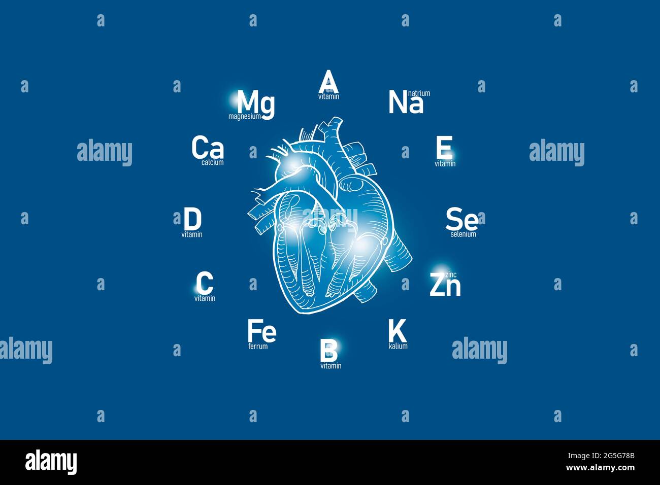 Cadran stylisé avec vitamines et microéléments essentiels pour la santé humaine, coeur dessiné à la main, fond bleu foncé. Banque D'Images Cadran stylisé avec vitamines et microéléments essentiels pour la santé humaine, coeur dessiné à la main, fond bleu foncé. Banque D'Images