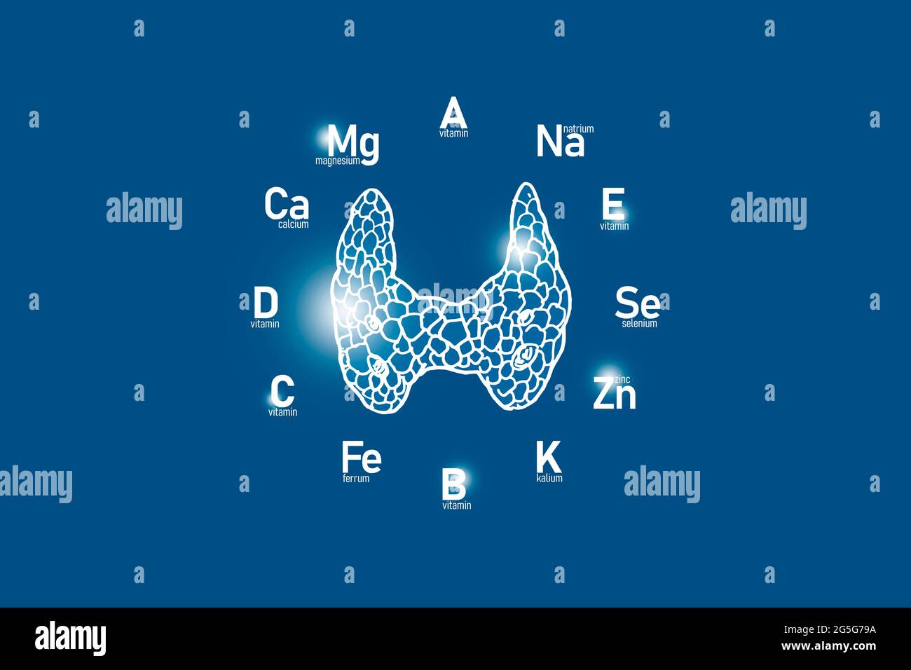 Cadran stylisé avec vitamines et microéléments essentiels pour la santé humaine, glande thyroïde dessinée à la main, fond bleu foncé. Banque D'Images