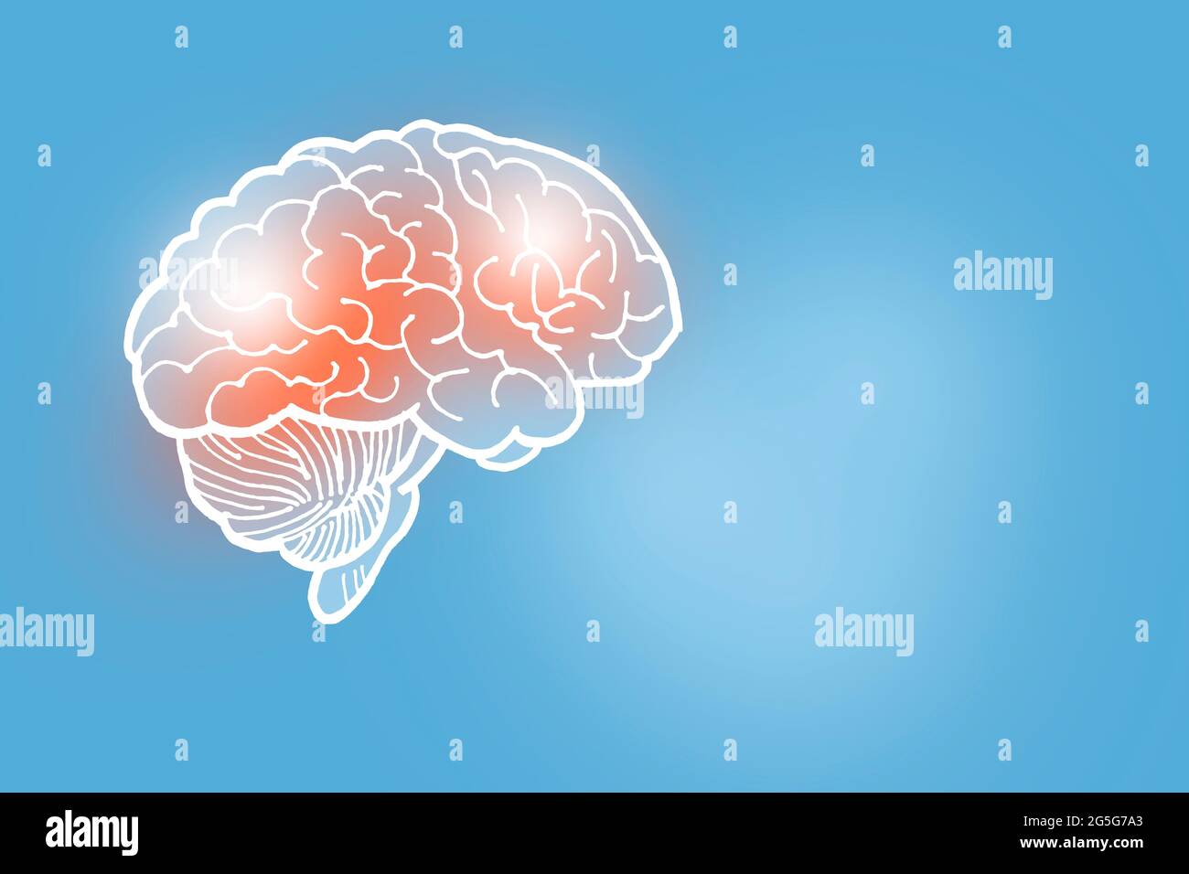 Illustration du cerveau humain sur fond bleu clair. Médical, science ensemble avec les principaux organes humains avec espace de copie vide pour le texte Banque D'Images