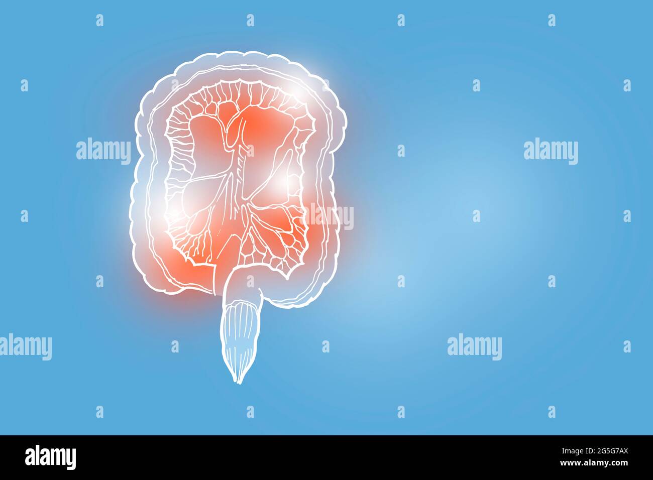 Illustration de l'intestin humain sur fond bleu clair. Médical, science ensemble avec les principaux organes humains avec espace de copie vide pour le texte Banque D'Images