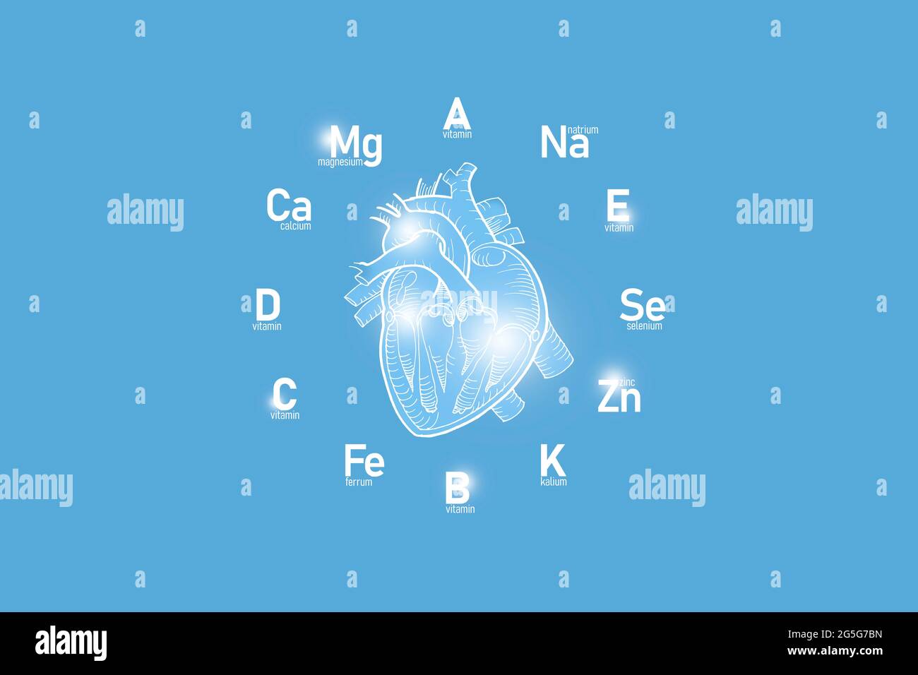 Cadran stylisé avec vitamines et microéléments essentiels pour la santé humaine, coeur dessiné à la main, fond bleu clair. Banque D'Images Cadran stylisé avec vitamines et microéléments essentiels pour la santé humaine, coeur dessiné à la main, fond bleu clair. Banque D'Images