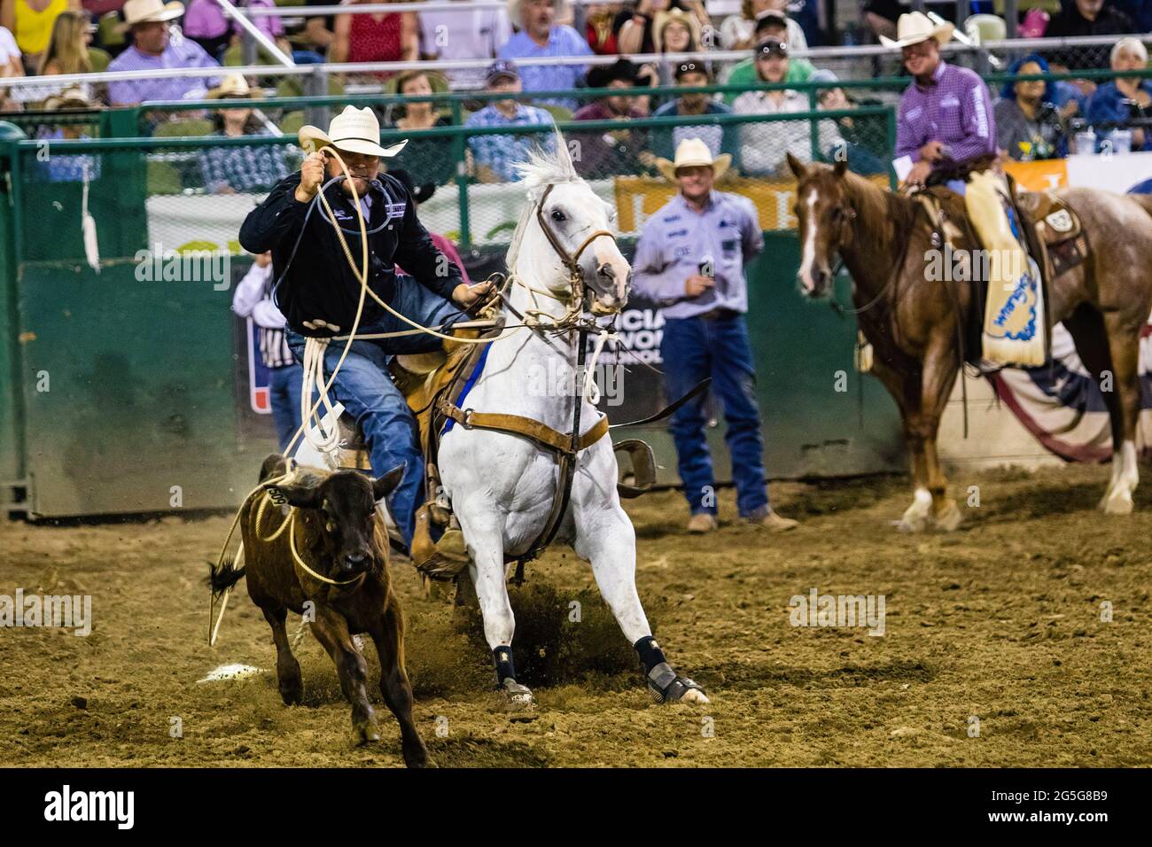 Reno, États-Unis. 26 juin 2021. Justin Smith fait un veau pour devenir le champion de rodéo de Reno en 2021. Le Rodeo 2021 de Reno a pris fin avec la nuit de finale. (Photo de Ty O'Neil/SOPA Images/Sipa USA) crédit: SIPA USA/Alay Live News Banque D'Images