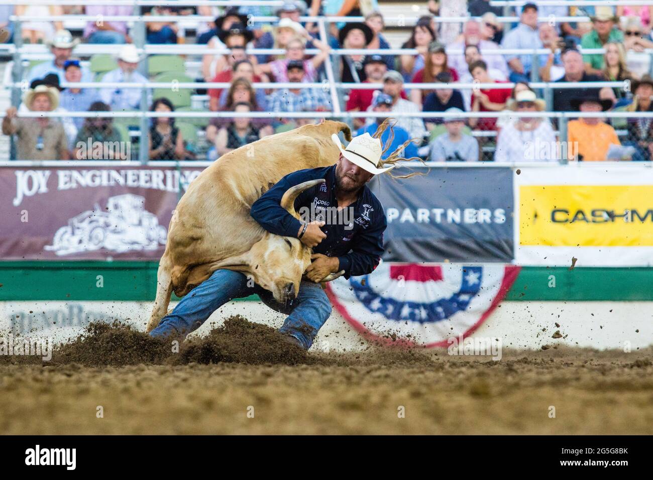 Reno, États-Unis. 26 juin 2021. Hunter Cure lutte pour devenir le champion de Rodeo de Reno 2021. Le Rodeo 2021 de Reno a pris fin avec la nuit de finale. (Photo de Ty O'Neil/SOPA Images/Sipa USA) crédit: SIPA USA/Alay Live News Banque D'Images