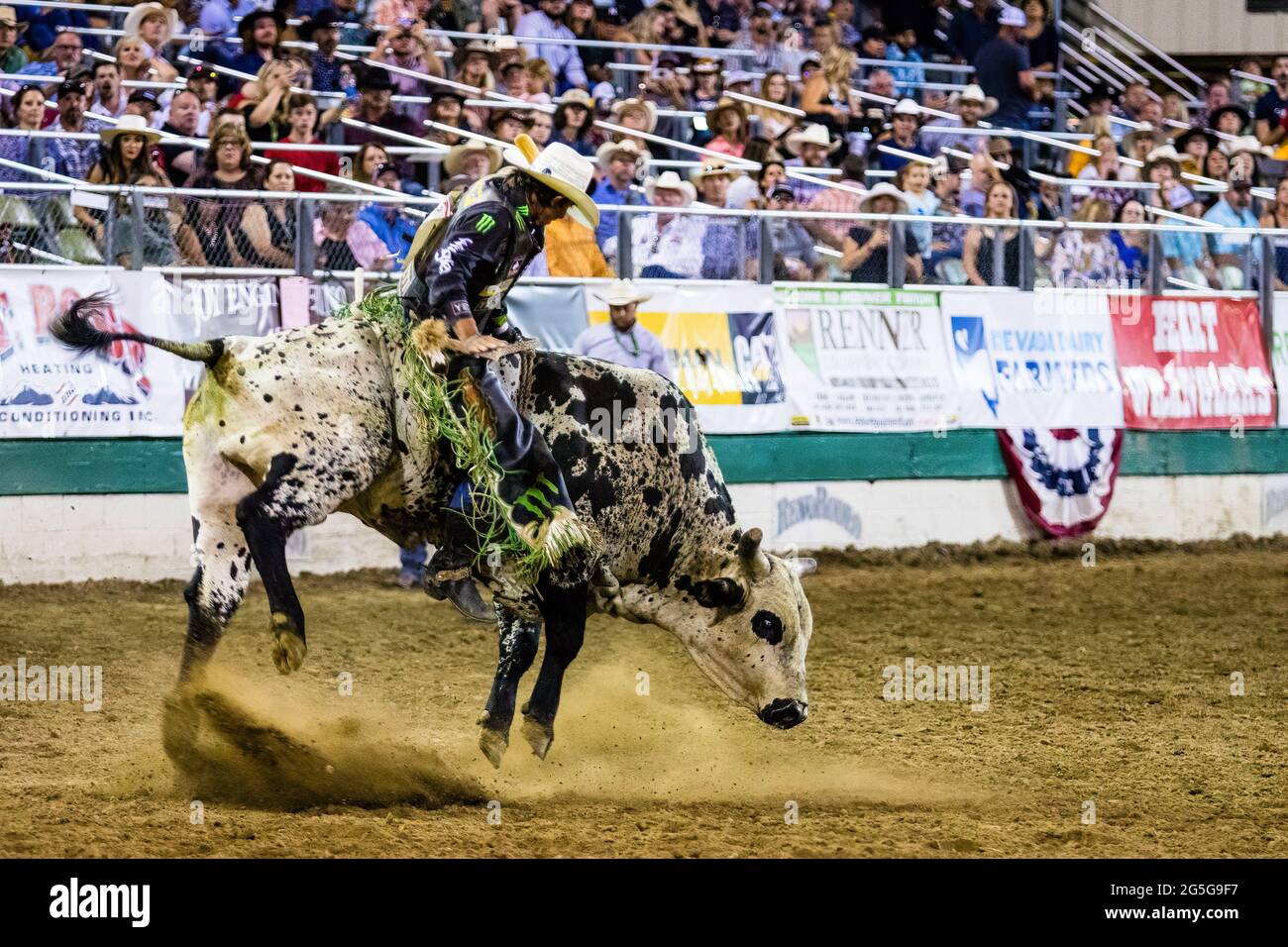 Reno, États-Unis. 26 juin 2021. JB Mauney monte un taureau pour devenir le champion de Rodeo de Reno en 2021. Le Rodeo 2021 de Reno a pris fin avec la nuit de finale. Crédit : SOPA Images Limited/Alamy Live News Banque D'Images