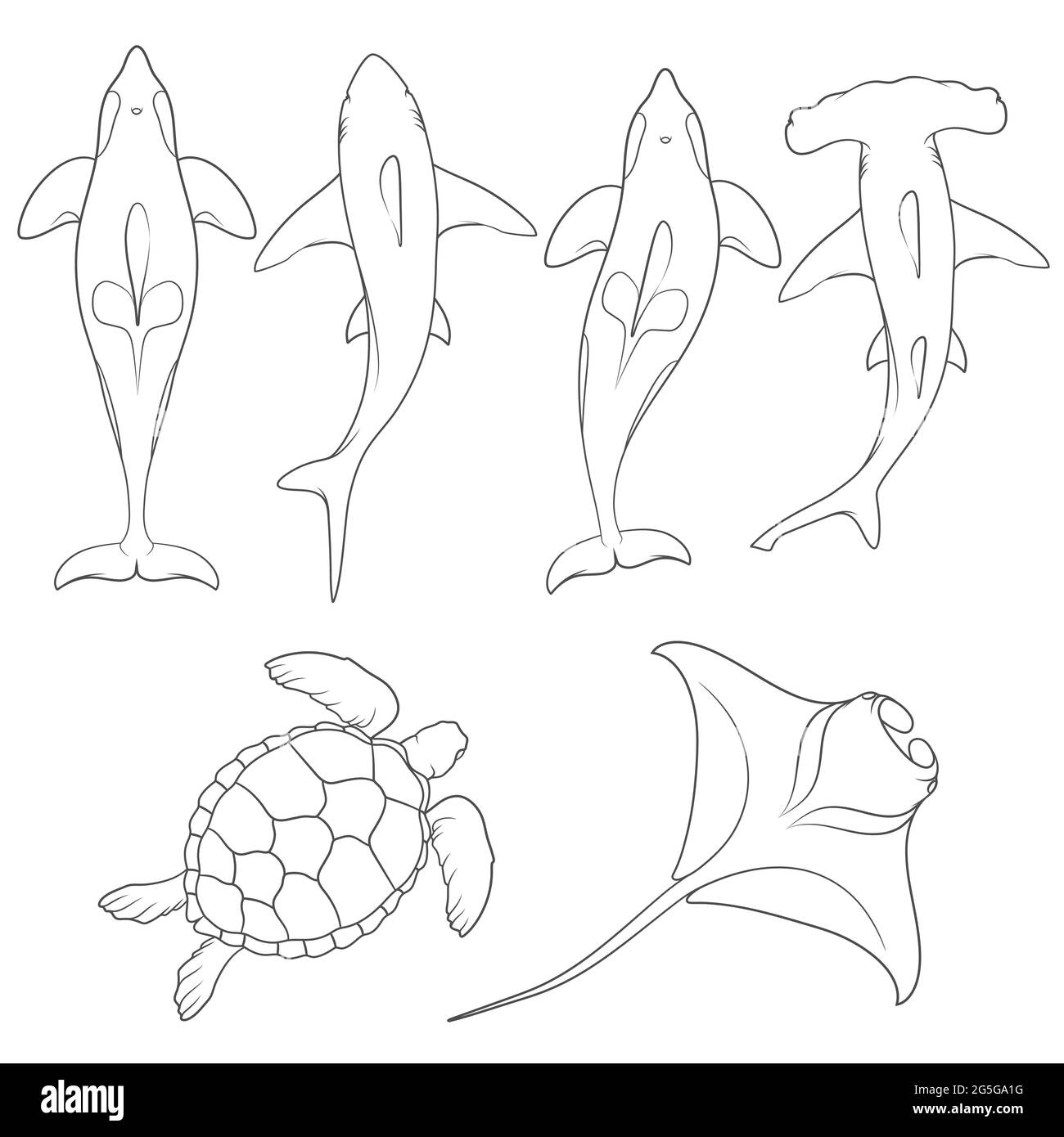Ensemble d'images avec animaux marins. Objets vectoriels isolés en noir et blanc sur fond blanc. Illustration de Vecteur