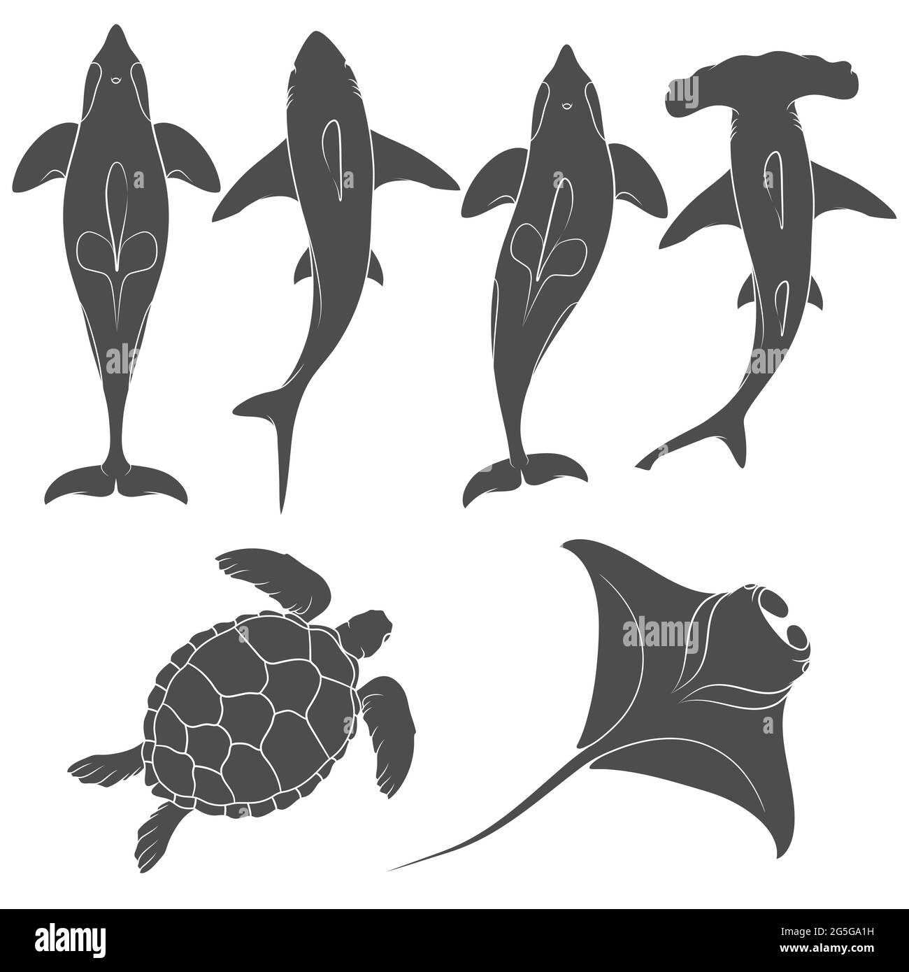 Ensemble d'images avec animaux marins. Objets vectoriels isolés en noir et blanc sur fond blanc. Illustration de Vecteur