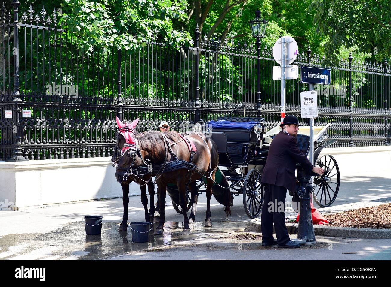 Vienne, Autriche. Fiaker a arrosé son cheval à cause de la grande chaleur Banque D'Images