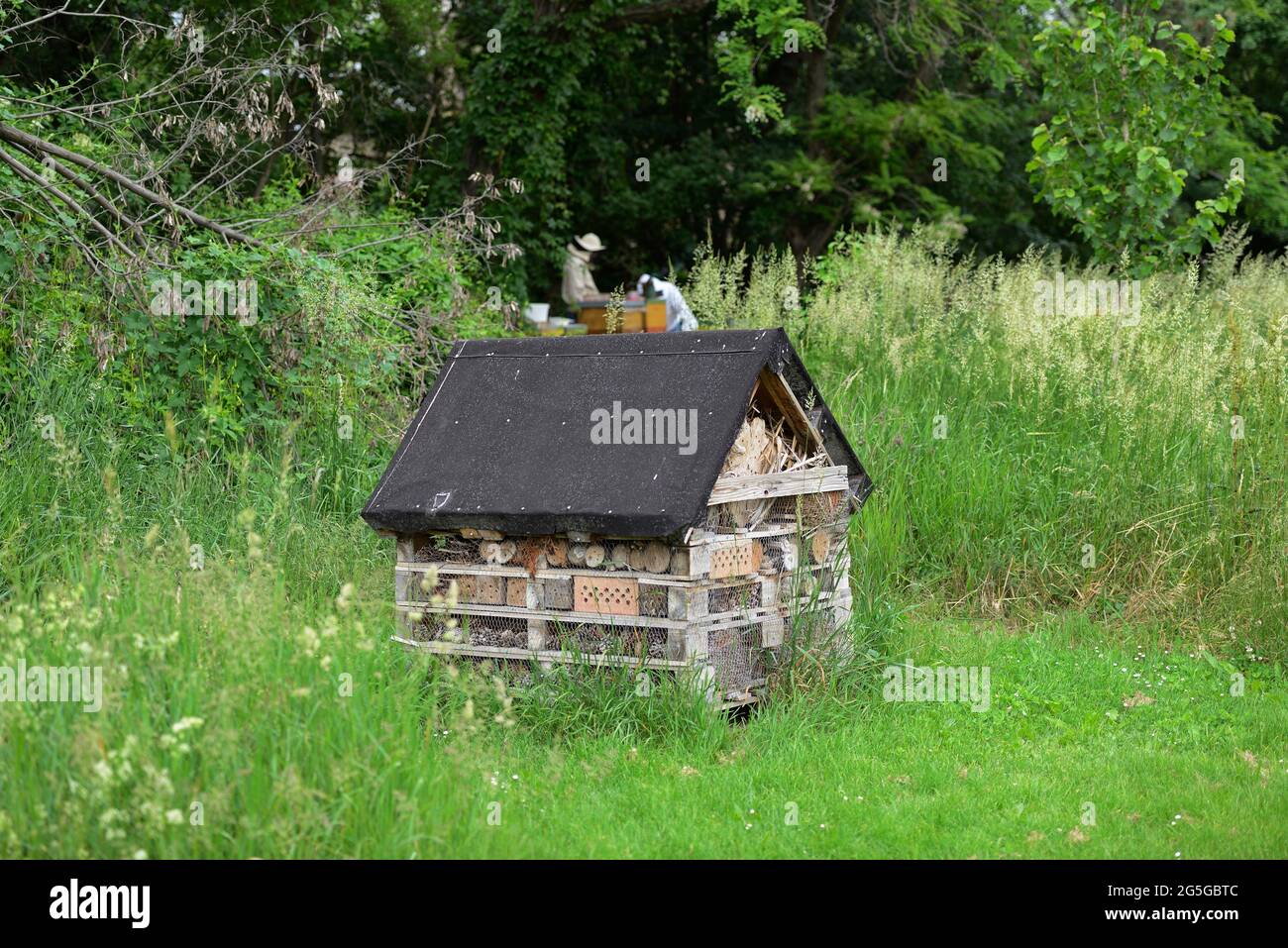 Vienne, Autriche. Maison d'insectes au cimetière central de Vienne. Apiculteur en arrière-plan. Banque D'Images