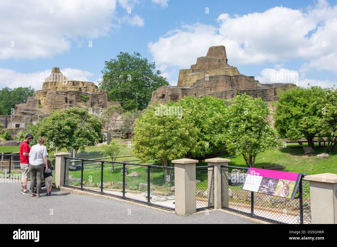 Enceinte de l'Outback, zoo de Londres ZSL, Regent's Park, Cité de Westminster, Grand Londres, Angleterre, Royaume-Uni Banque D'Images