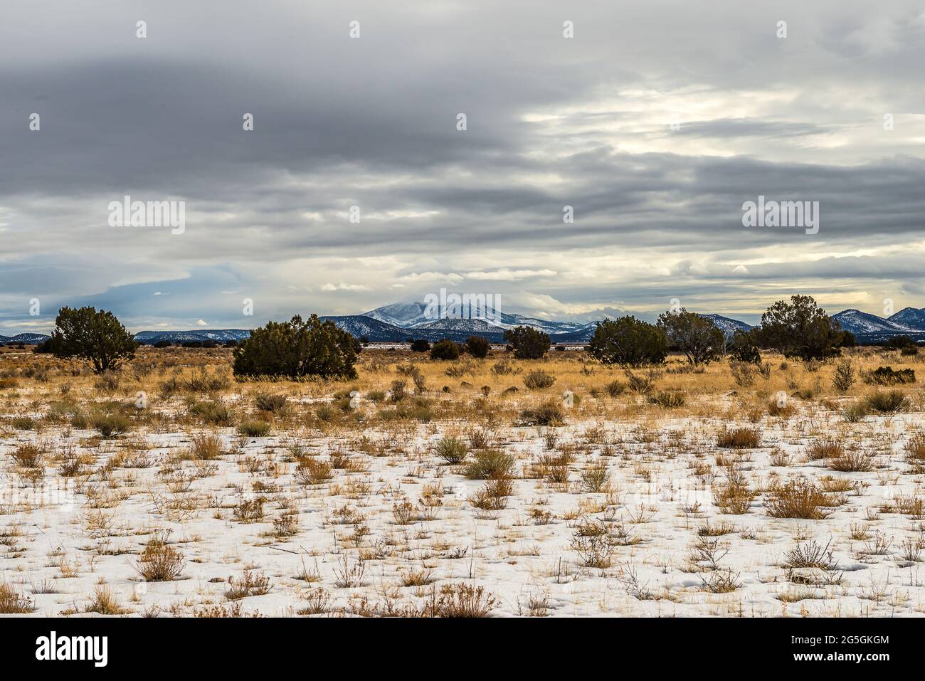 Le nord de l'Arizona est un très bel endroit à visiter. Banque D'Images