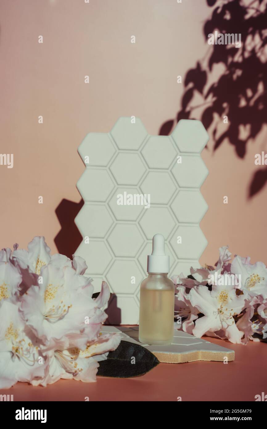 Arrière-plan tendance avec une bouteille d'huile essentielle naturelle, des fleurs exotiques fraîches et des formes géométriques de cellules carrelage avec lumière directe du soleil et ombres dures Banque D'Images