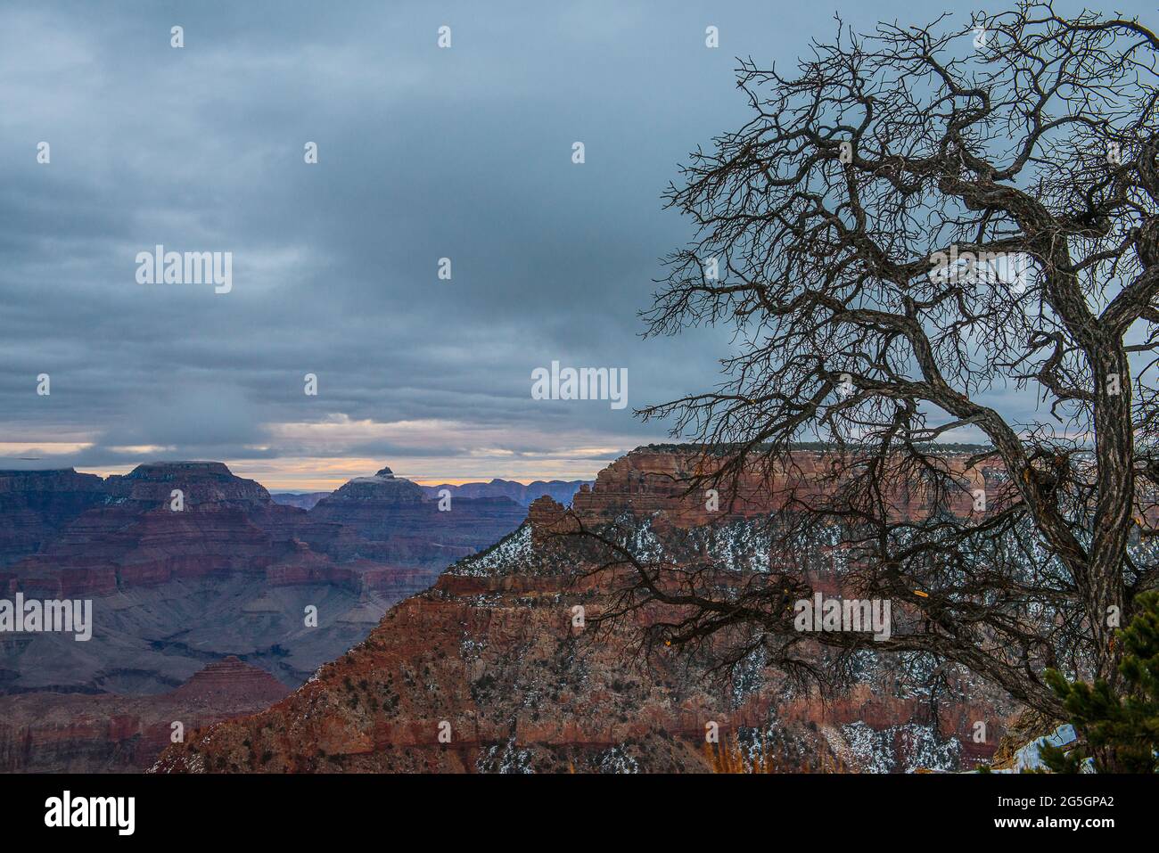 Le Parc National du Grand Canyon, Arizona USA Banque D'Images