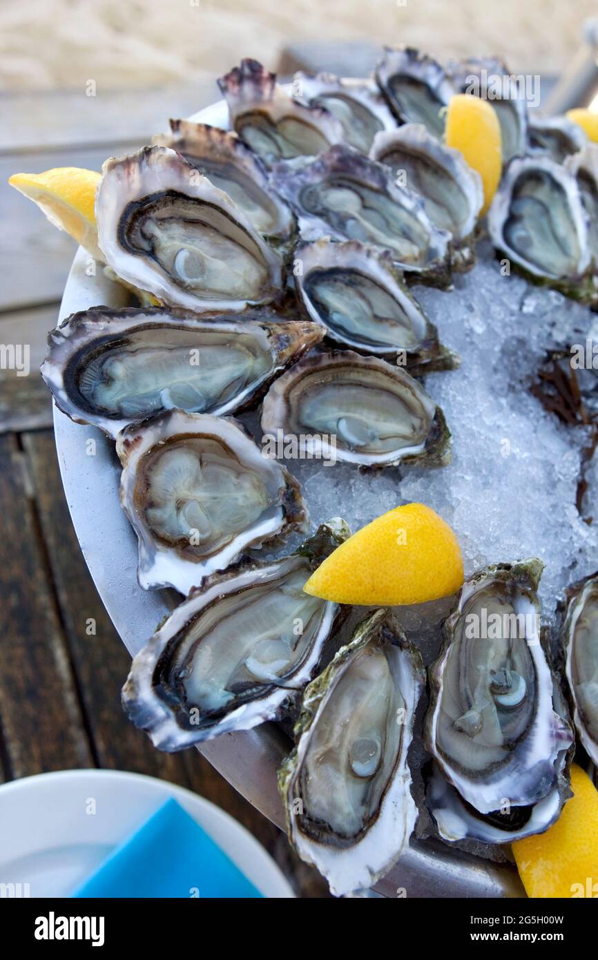Assiette d'huîtres et de citron sur une table Banque D'Images