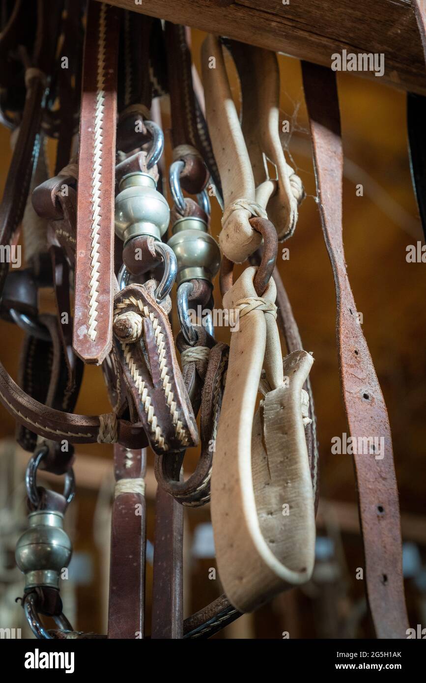 Selle Western En Cuir De Vache Ash Mira Saddlery - Taille 12 à 18 Pouces - Neuve