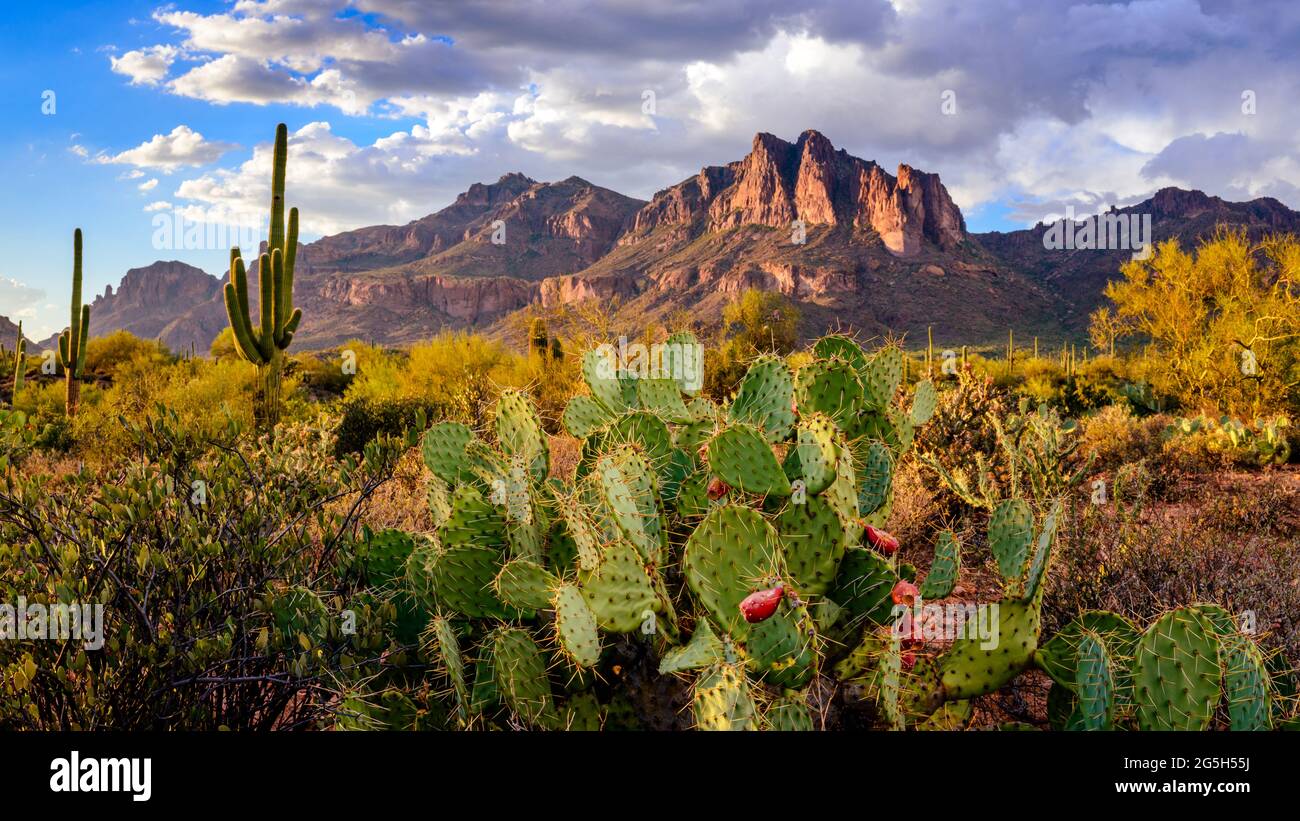 Superstition Mountains, Arizona, États-Unis Banque D'Images