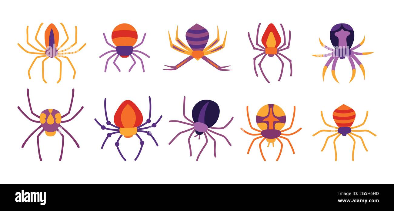 Dessin Dune Araignee En Couleur Pour Halloween Couleur toile d'araignée Banque d'images détourées - Alamy