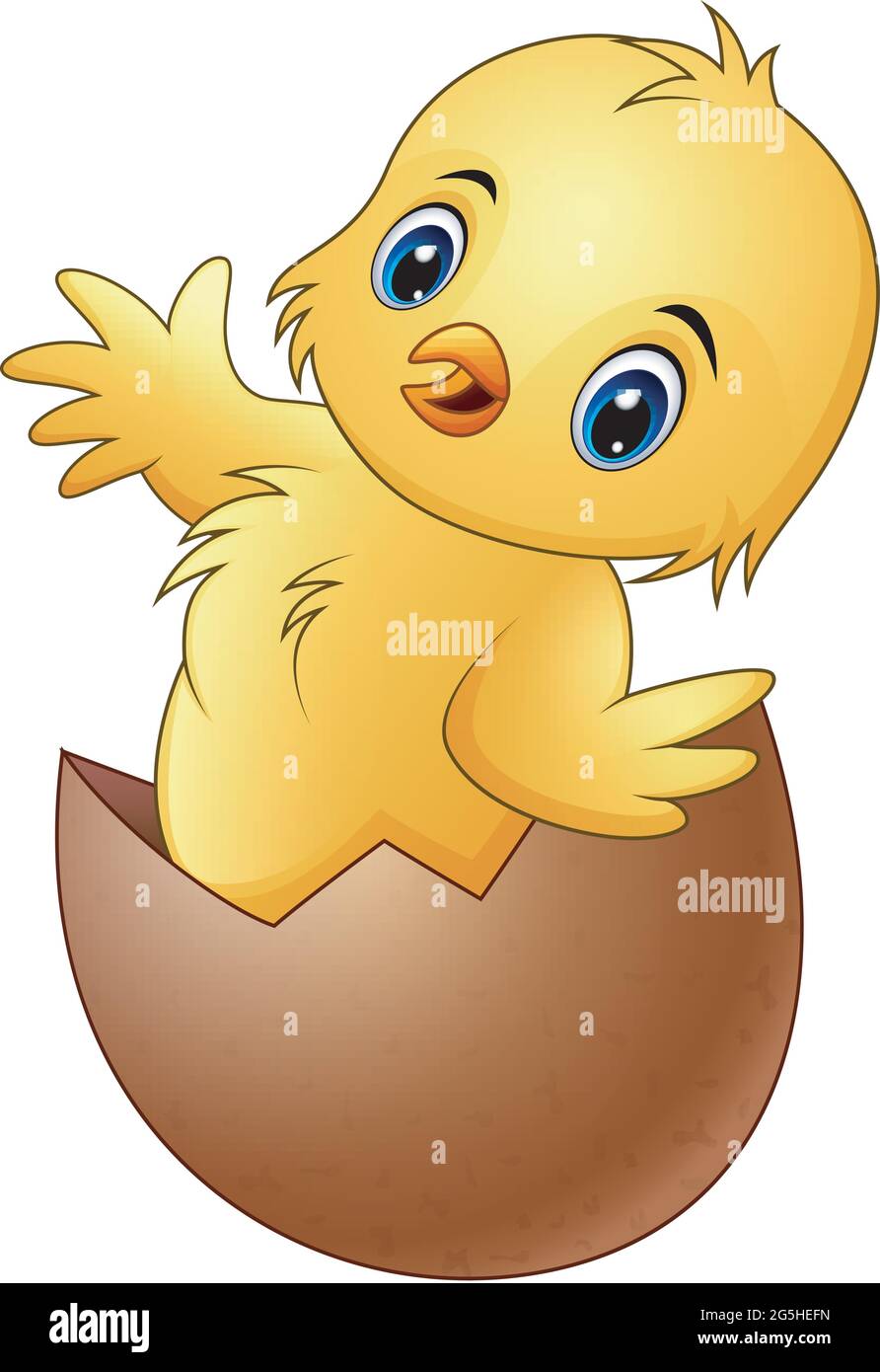 Dessin Anime Petit Poulet Bebe Dans La Coquille D œuf Cassee Image Vectorielle Stock Alamy