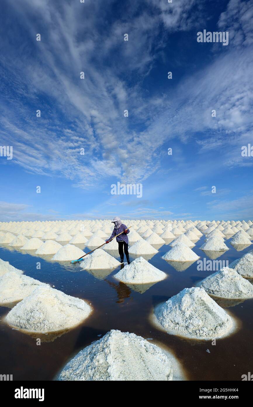 Travailleur récolte du sel dans le champ de sel à Ban Laem-Thaïlande Banque D'Images