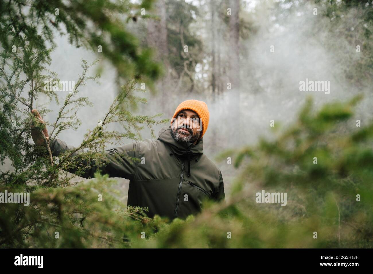Randonneur mâle explorant au milieu des plantes de la forêt pendant les vacances Banque D'Images
