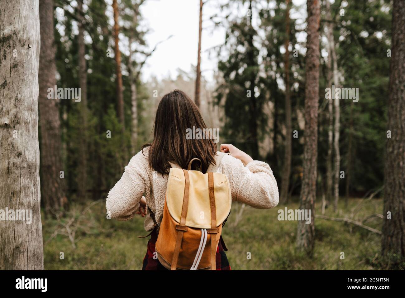 Vue arrière de la femme explorant dans la forêt pendant les vacances Banque D'Images