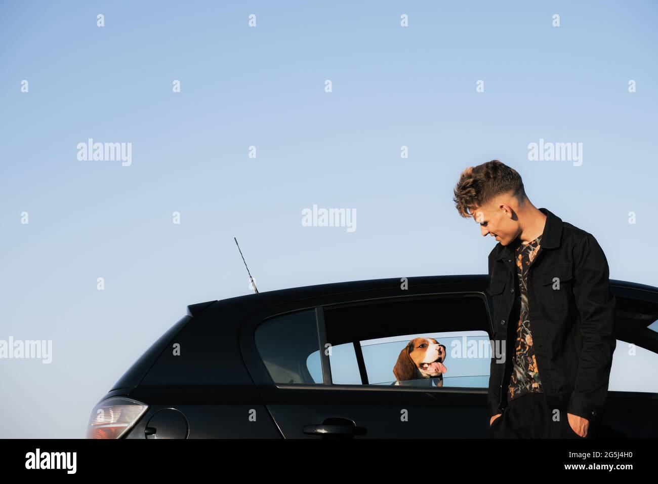 Le jeune homme se tient à côté de la voiture, le chien de beagle regardant par la fenêtre de la voiture. Mode de vie avec animaux, concept voyager avec chien Banque D'Images