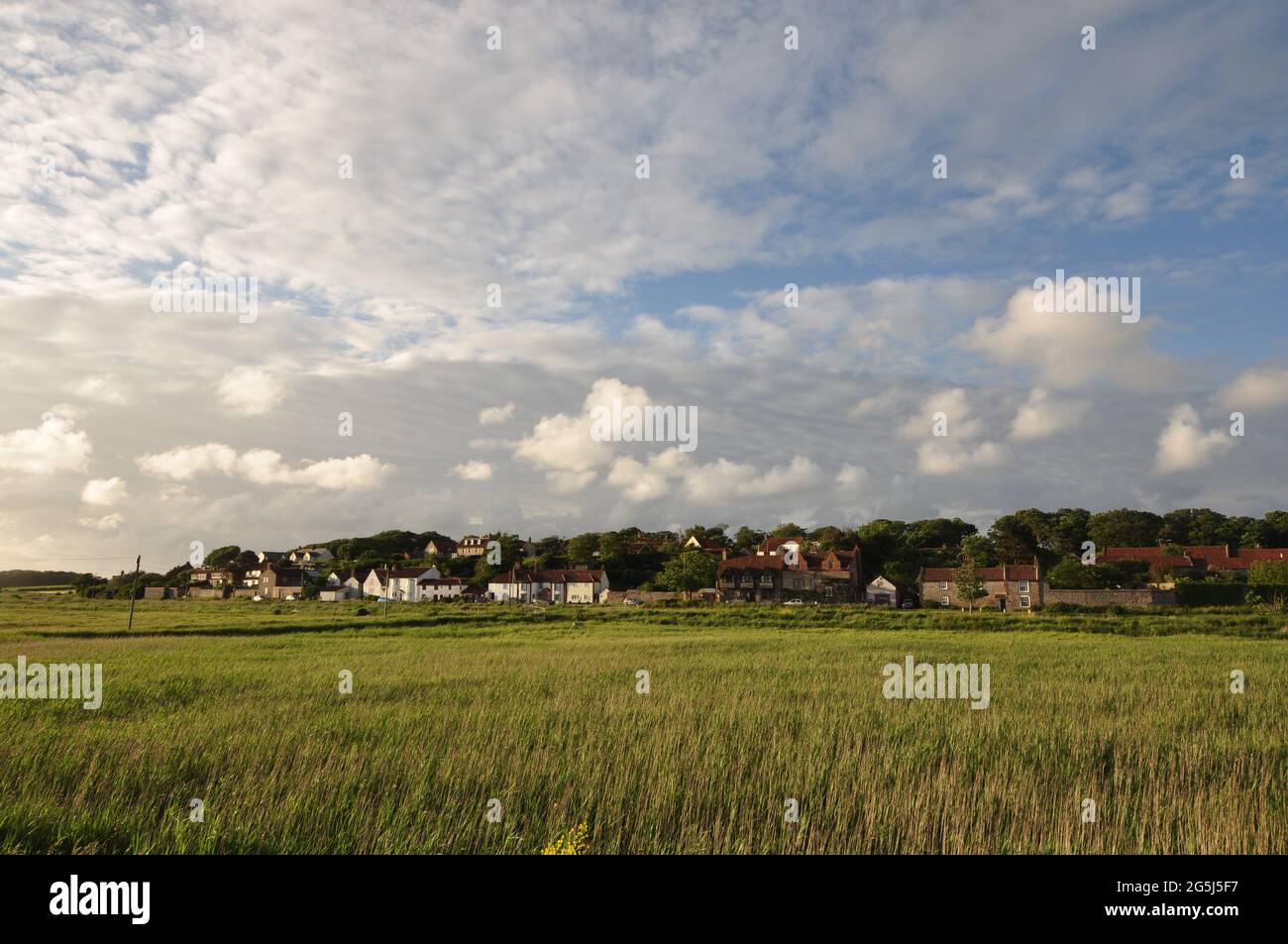 Maisons donnant sur le marais de CLEY-Next-the-Sea, nord de Norfolk, Angleterre, Royaume-Uni. Banque D'Images