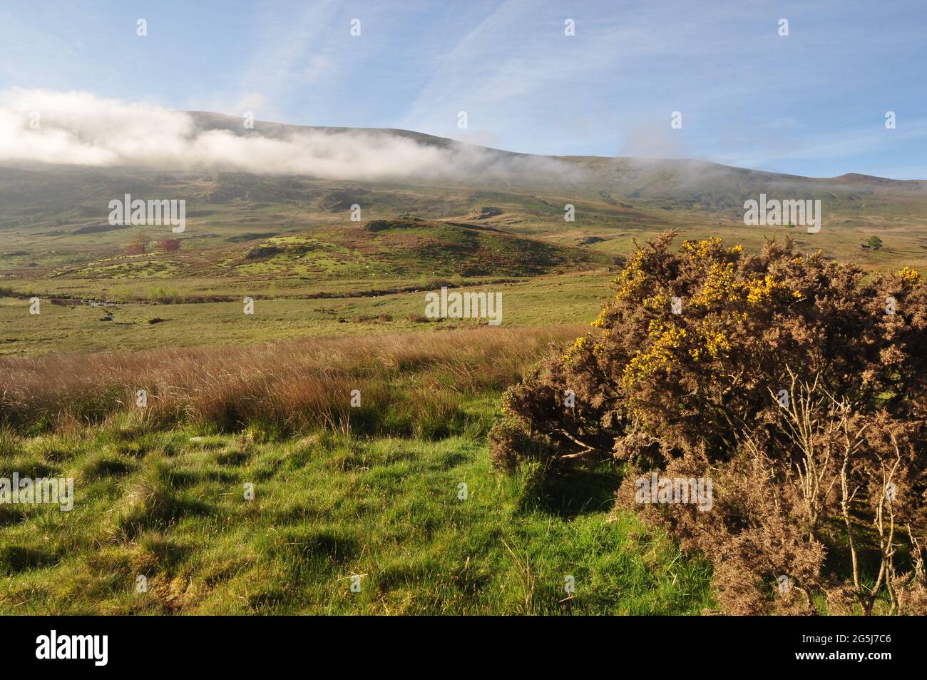 Vue vers le sud depuis l'A4086 à la grille OS 683564 au sud-ouest de Capel Curig, Snowdonia, pays de Galles, Royaume-Uni. Banque D'Images